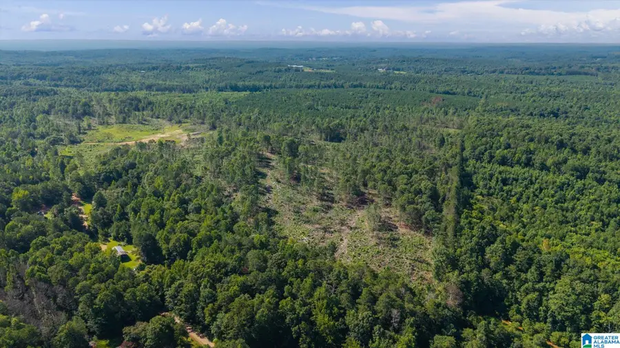 0 COUNTY ROAD 404, Heflin, AL 36264 - #2
