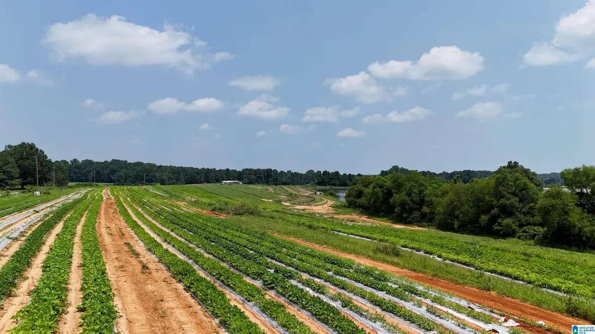 1780 COUNTY ROAD 42, Steele, AL 35987 - #1