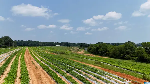 1780 COUNTY ROAD 42, Steele, AL 35987