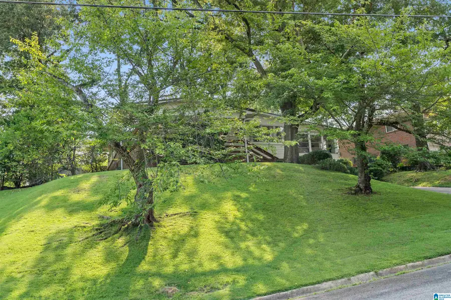 809 43RD STREET S, Birmingham, AL 35222 - #3