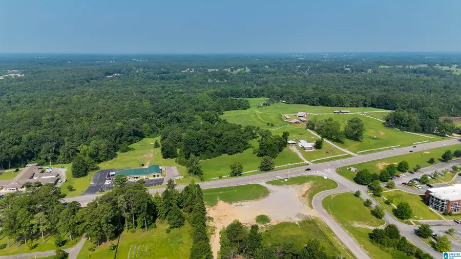0 HIGHWAY 145, Clanton, AL 35046 - #3