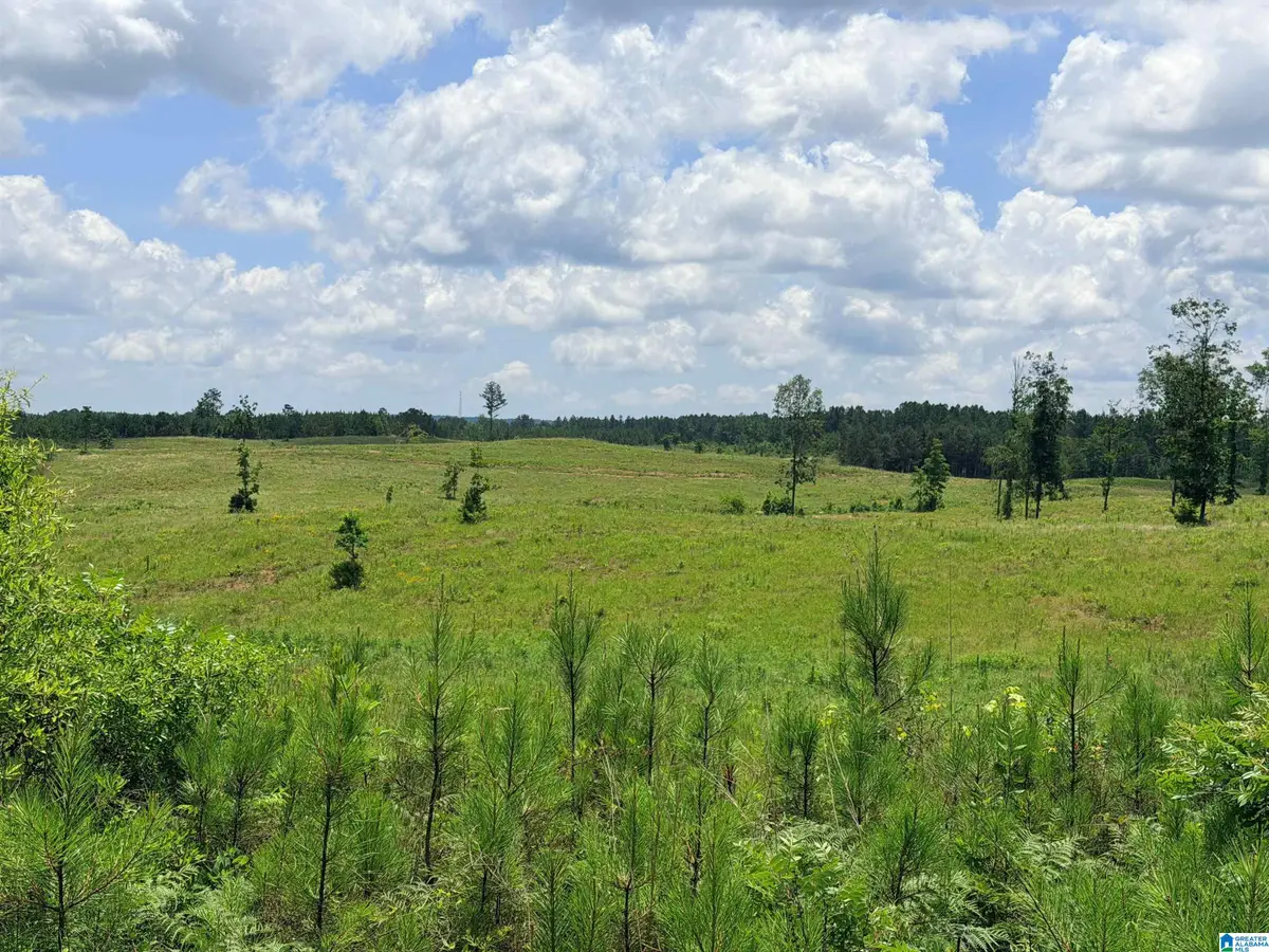 561 LAKEWOOD DRIVE, Columbiana, AL 35051 - #1