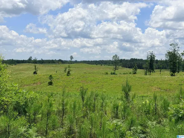 561 LAKEWOOD DRIVE, Columbiana, AL 35051