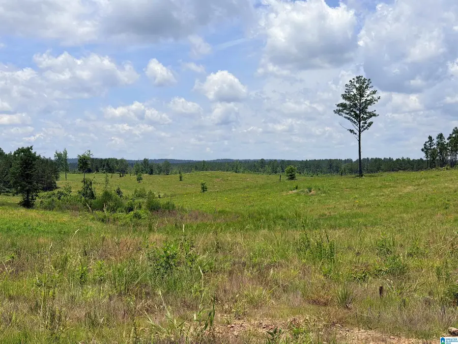 561 LAKEWOOD DRIVE, Columbiana, AL 35051 - #2