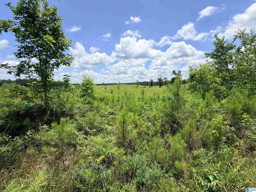 561 LAKEWOOD DRIVE, Columbiana, AL 35051 - #3