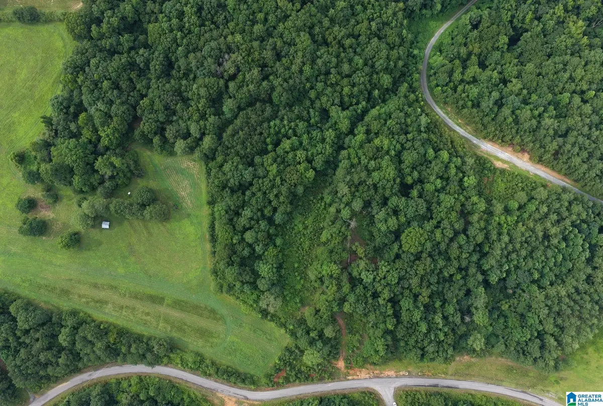 0 COUNTY ROAD 367, Crane Hill, AL 35053 - #1