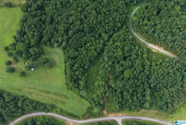 0 COUNTY ROAD 367, Crane hill, AL 35053