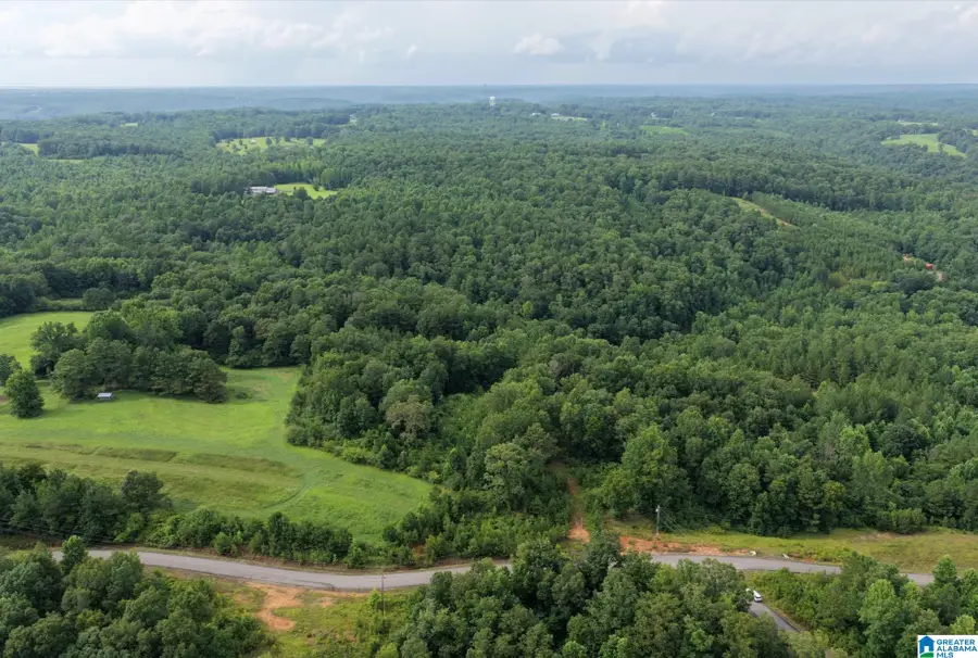 0 COUNTY ROAD 367, Crane Hill, AL 35053 - #2