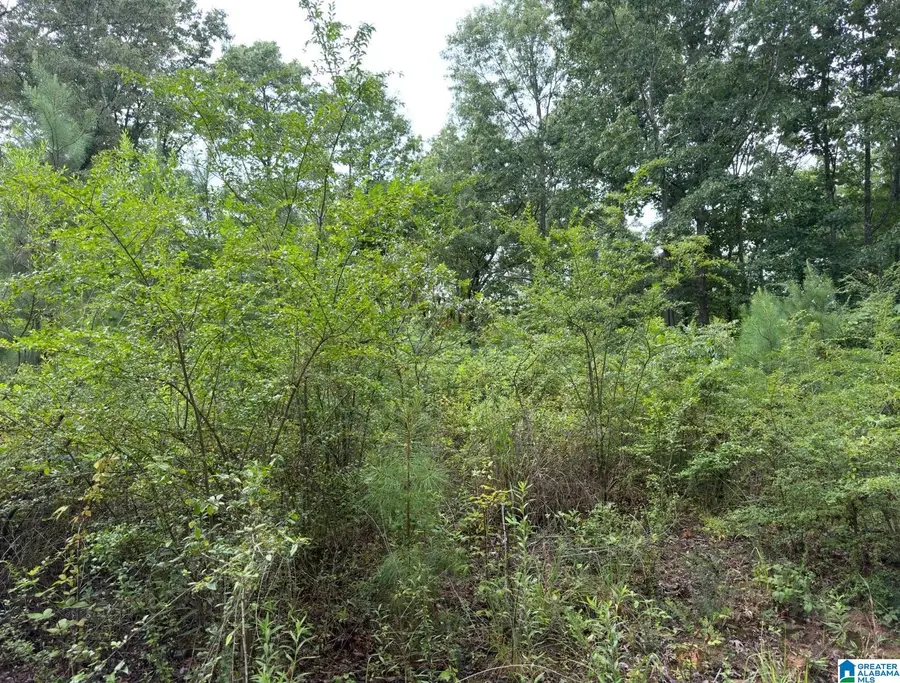0 COUNTY ROAD 367, Crane Hill, AL 35053 - #3
