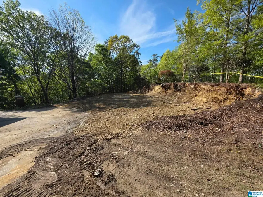4029 RIVER VIEW DRIVE, Vestavia Hills, AL 35243 - #2