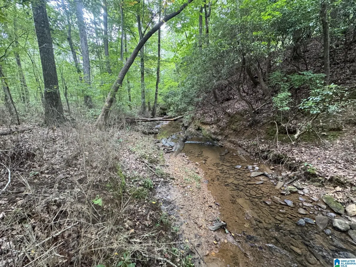 COUNTY ROAD 639, Roanoke, AL 36274 - #1