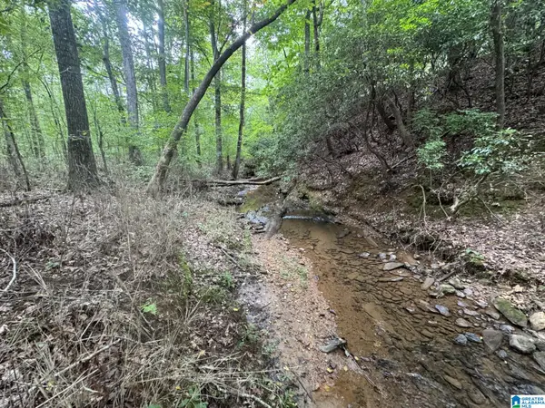 COUNTY ROAD 639, Roanoke, AL 36274
