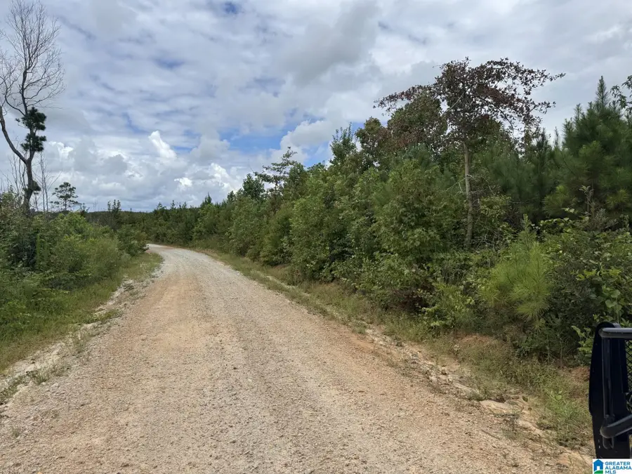 COUNTY ROAD 639, Roanoke, AL 36274 - #2