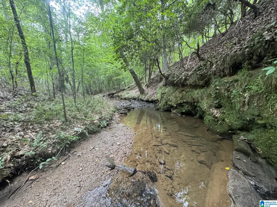 COUNTY ROAD 639, Roanoke, AL 36274 - #3