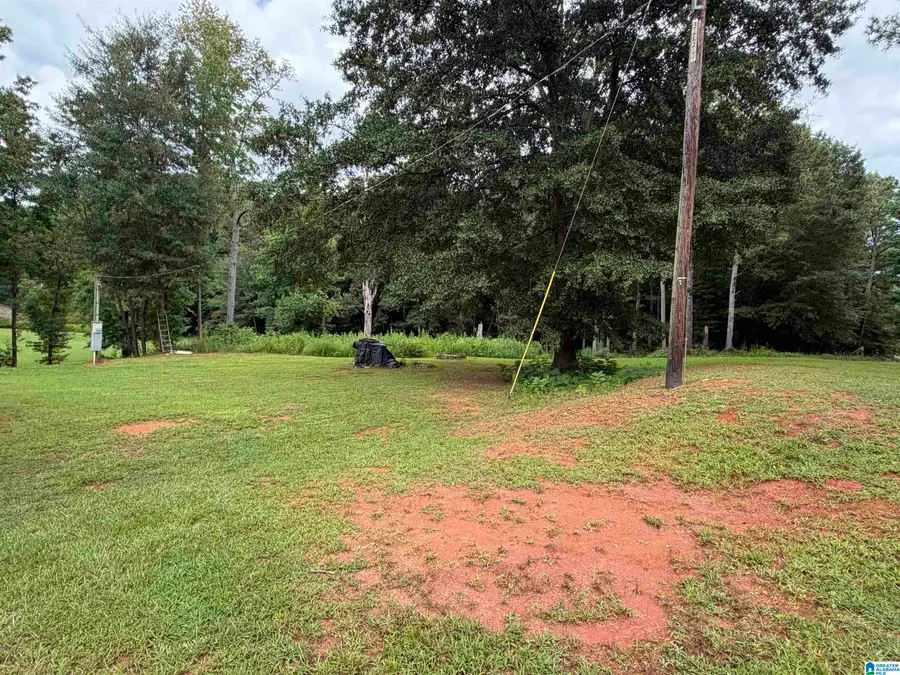 10743 COUNTY ROAD 92, Newell, AL 36280 - #3
