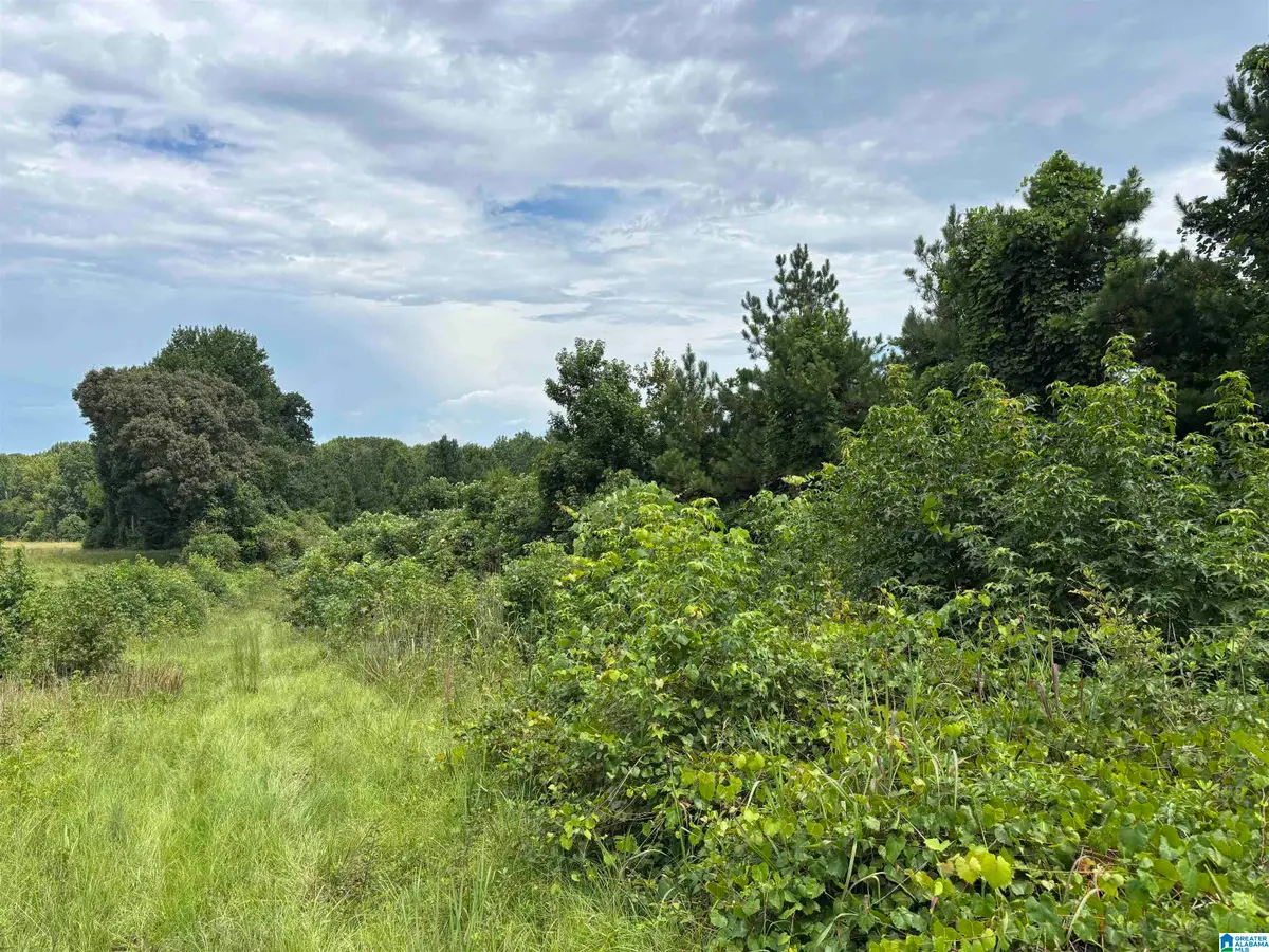 COUNTY ROAD 65, Wadley, AL 36276 - #1