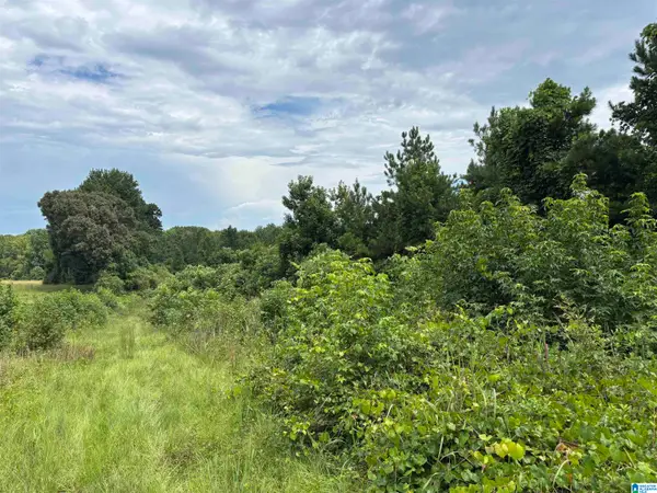 COUNTY ROAD 65, Wadley, AL 36276