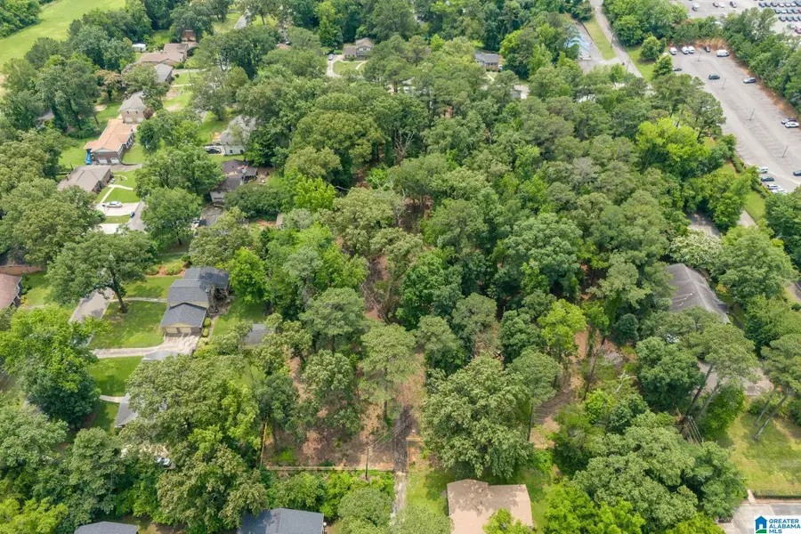 3429 SIERRA DRIVE, Hoover, AL 35216 - #2