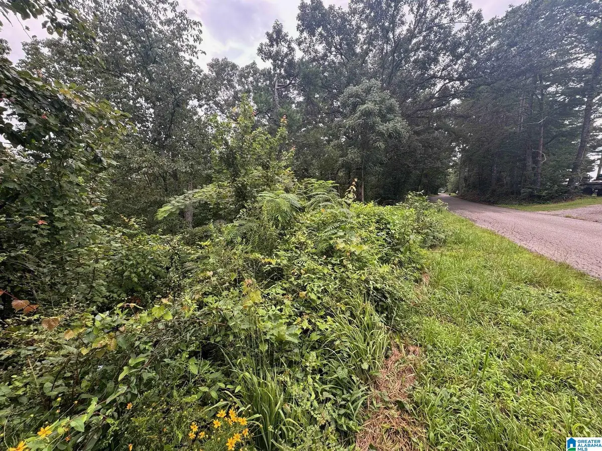 0 LEVINE ROAD, Odenville, AL 35120 - #1