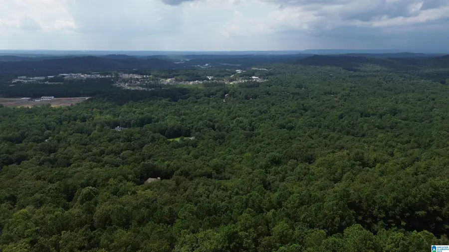 152 KINGS CREST LANE, Pelham, AL 35124 - #2