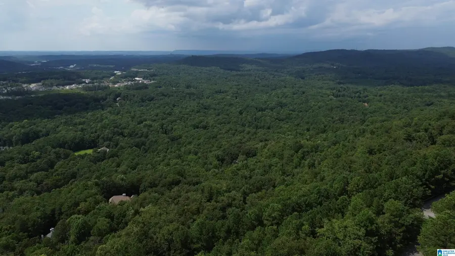 152 KINGS CREST LANE, Pelham, AL 35124 - #3