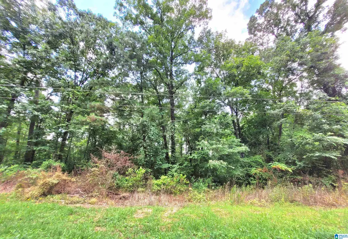 000 BRYAN STREET, Talladega, AL 35160 - #1