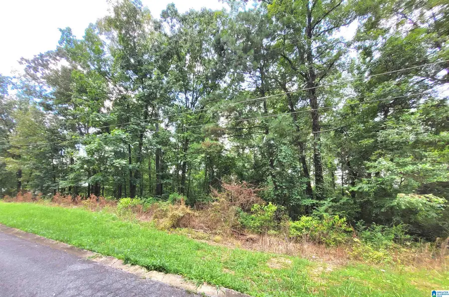 000 BRYAN STREET, Talladega, AL 35160 - #2