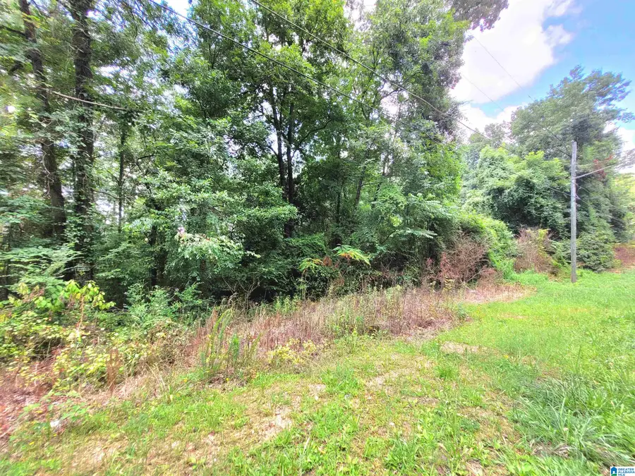 000 BRYAN STREET, Talladega, AL 35160 - #3
