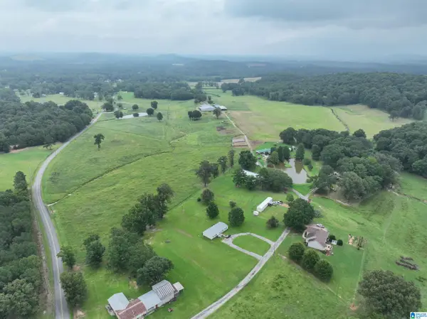 20796 US HWY 231, Pell city, AL 35125