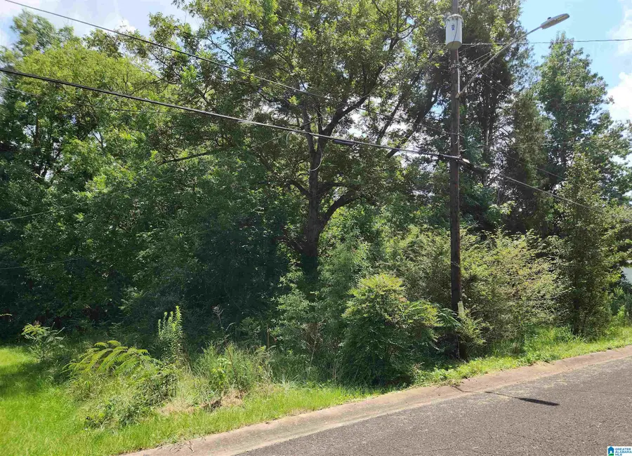 307 2ND AVENUE, Mulga, AL 35118 - #2