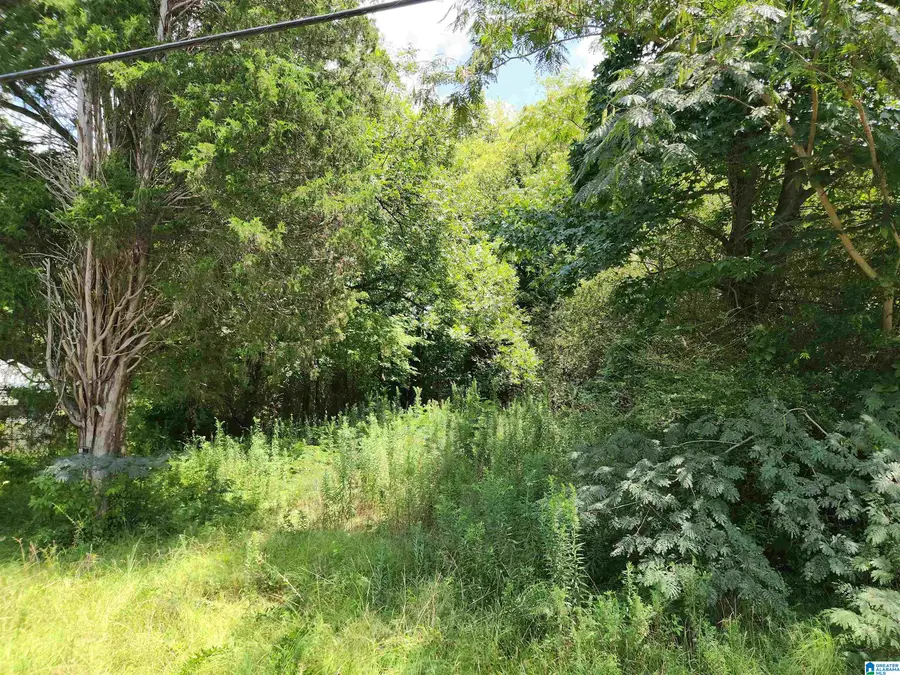 307 2ND AVENUE, Mulga, AL 35118 - #3