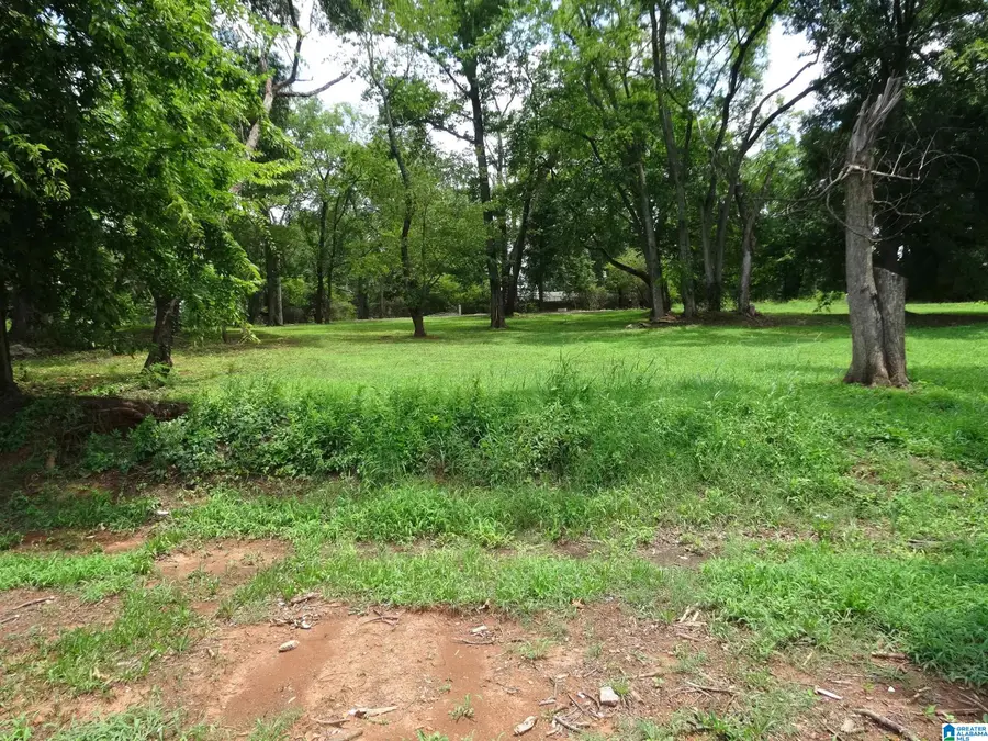 1311 SW 16TH STREET, Birmingham, AL 35211 - #2
