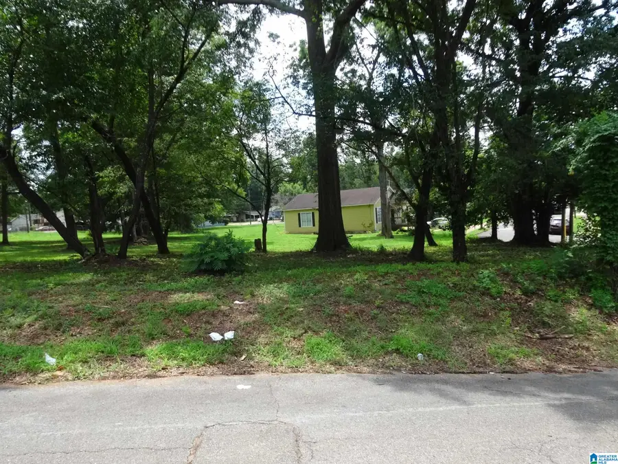 1311 SW 16TH STREET, Birmingham, AL 35211 - #3