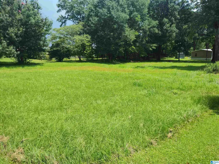 9166 S MAIN STREET S, Wilsonville, AL 35186 - #2