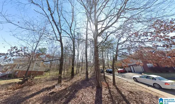 1321 AMERICANA DRIVE, Birmingham, AL 35215