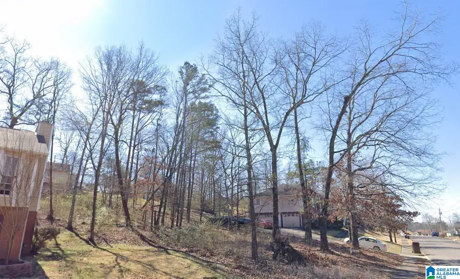 1321 AMERICANA DRIVE, Birmingham, AL 35215 - #3