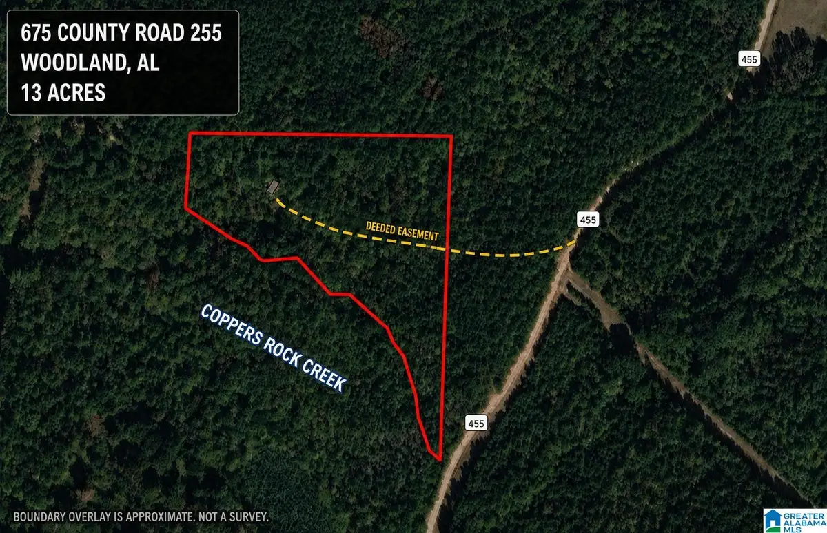 675 COUNTY ROAD 455, Woodland, AL 36280 - #1