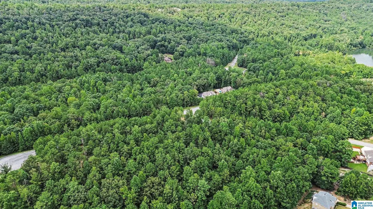 0 WHITE TAIL RUN, Chelsea, AL 35043 - #1