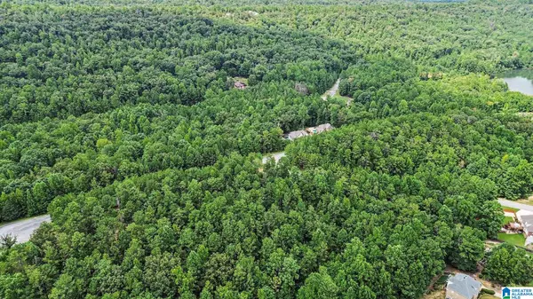 0 WHITE TAIL RUN, Chelsea, AL 35043