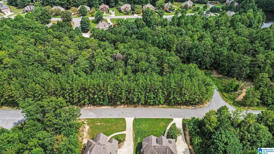 0 WHITE TAIL RUN, Chelsea, AL 35043 - #3