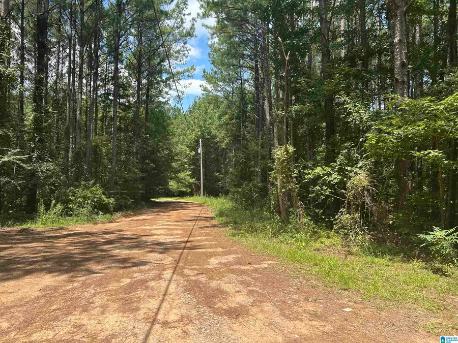 2.47 Acres JEEP TRAIL, Quinton, AL 35130 - #2