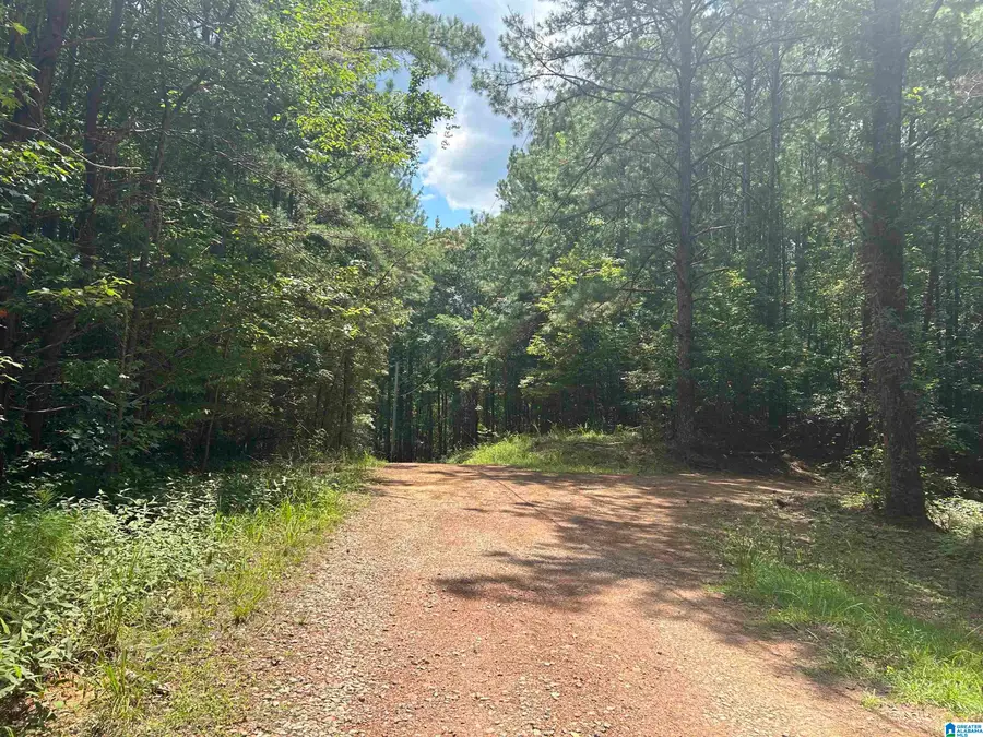 2.47 Acres JEEP TRAIL, Quinton, AL 35130 - #3