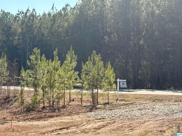 40 QUEEN DRIVE, Columbiana, AL 35051