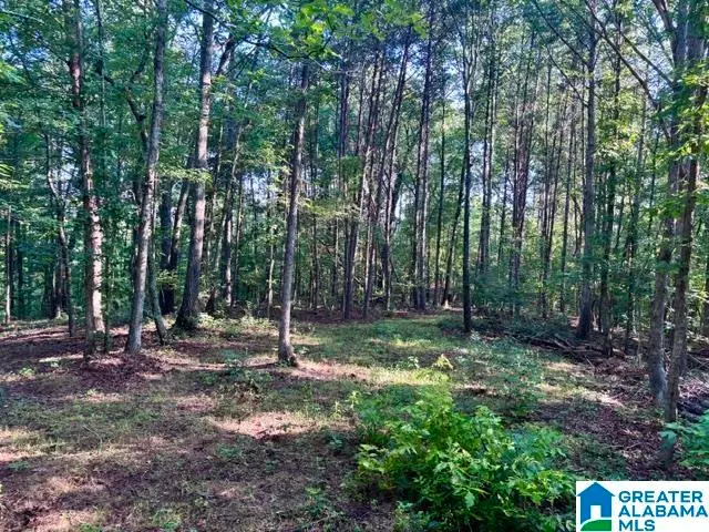 0 COUNTY ROAD 88, Delta, AL 36258 - #1
