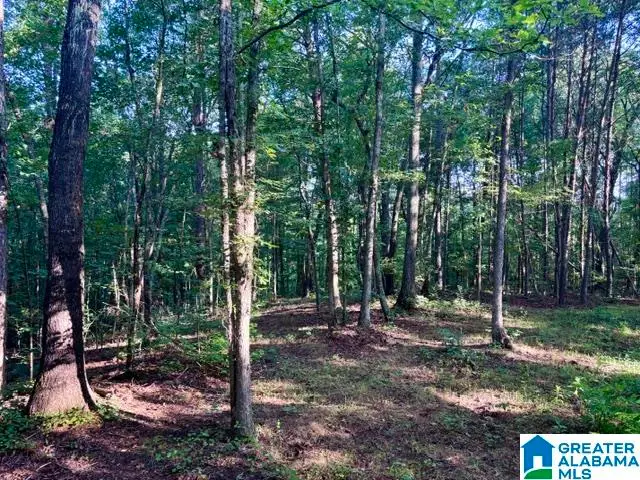 0 COUNTY ROAD 88, Delta, AL 36258 - #2