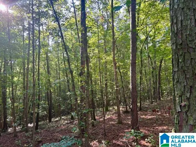 0 COUNTY ROAD 88, Delta, AL 36258 - #3