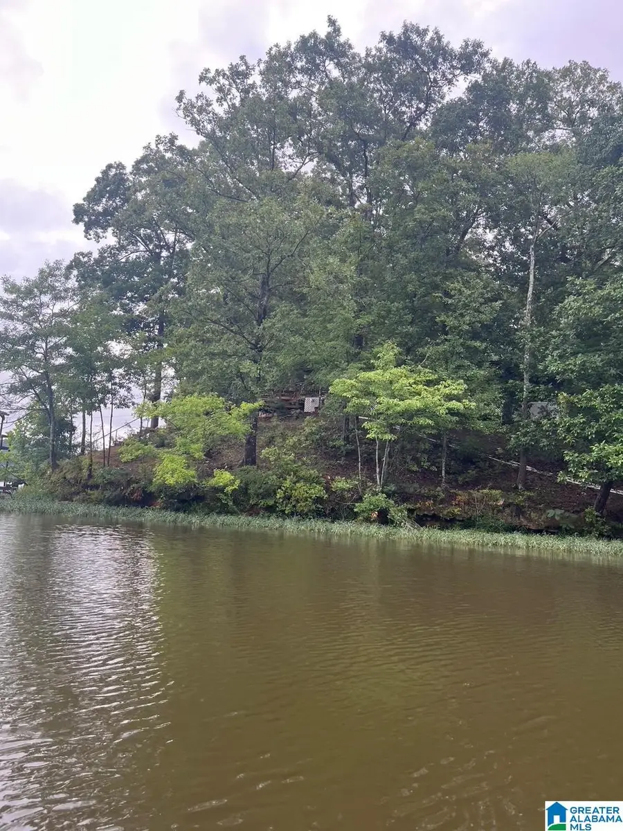 355 MARION PEAK LANE, Childersburg, AL 35044 - #3
