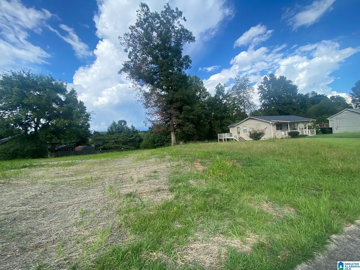 101 SUNNY BROOK LANE, Trussville, AL 35173 - #1