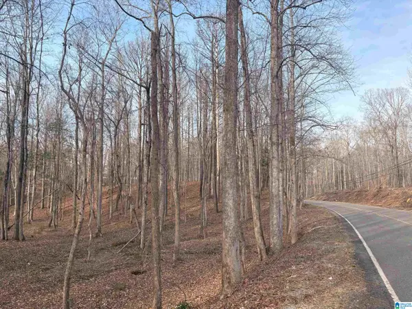 10005 TRUMAN ALDRICH PARKWAY, West blocton, AL 35184