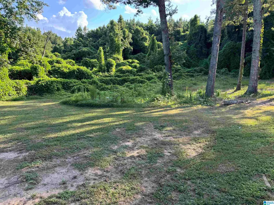 115 1ST AVENUE, Jemison, AL 35085 - #2
